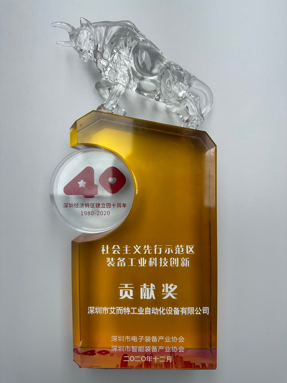 艾而特-2020年社會主義先行示范區貢獻獎